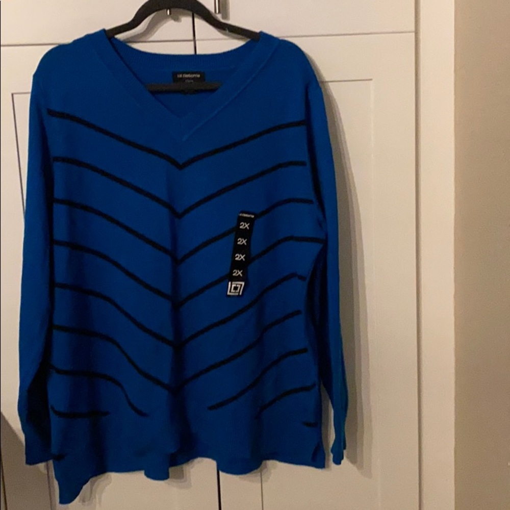 V neck sweater
